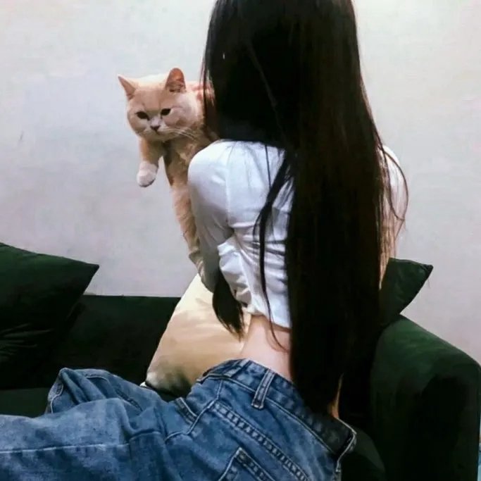 丛林奇航